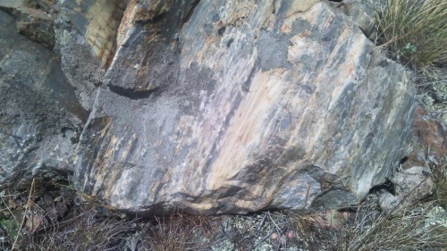 Гигантские зелёные валуны для ландшафтного дизайна весом более 5 тонн купить в Зеленодольске